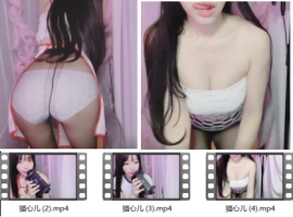 【佩奇老湿】猫心儿ASMR助眠 2月定制 3V/300M[百度盘下载]