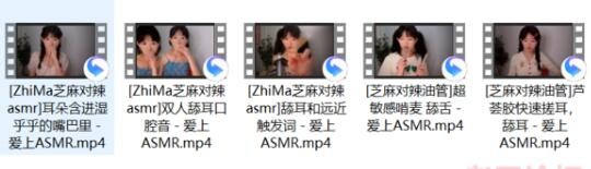 b站芝麻对辣asmr舔耳口腔音视频 [5V+631M]百度网盘下载