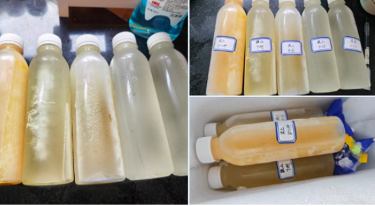 【搬运】猫猫头(原味)：07随缘出原 脚码36 主打圣水9471 作者:我是本性 帖子ID:2876 