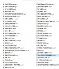 (乔乔)桥桥超温柔ASMR舰长合集r18音频[113a/6.1G]百度网盘下载