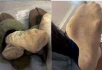 老师→原味圣物→定制重口棉袜【辐射级】